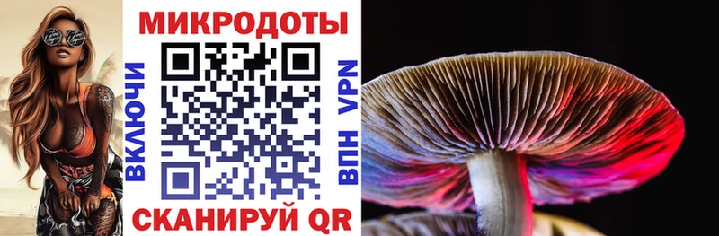 купить наркоту  Лобня  darknet формула  Псилоцибиновые грибы прущие грибы 